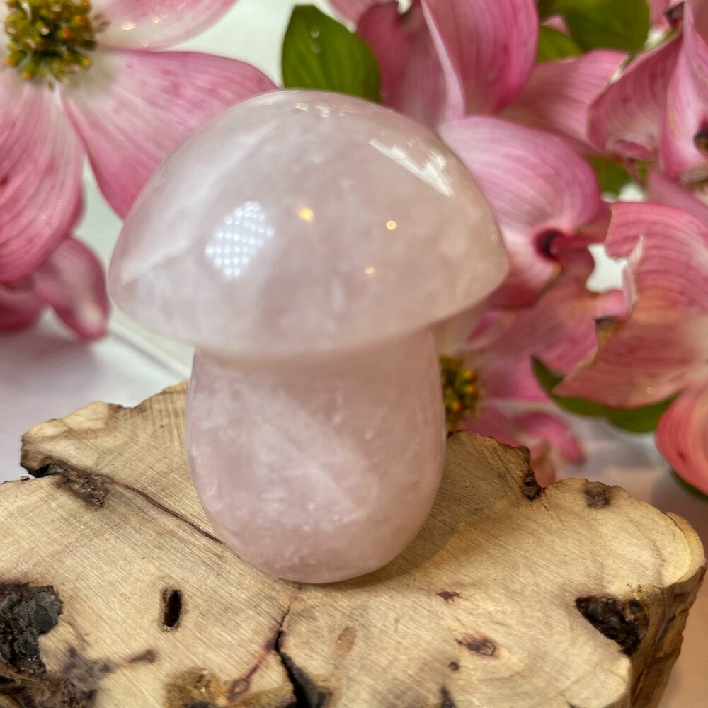 Rose Quartz Mushroom Crystal Healing Reiki